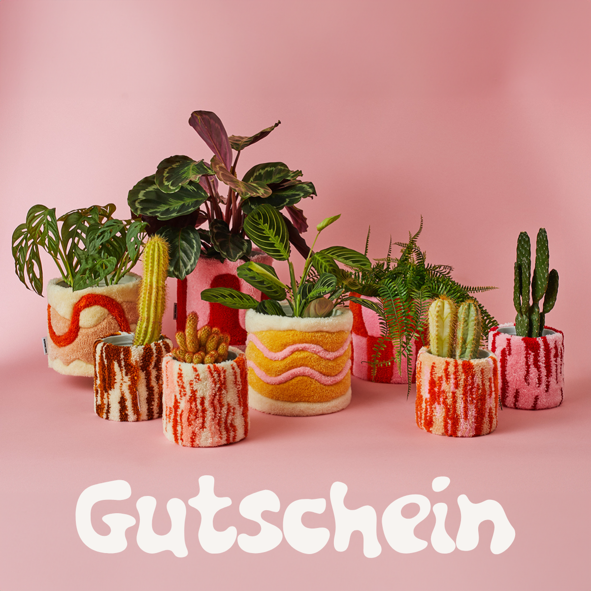 ok.rugs Gutschein