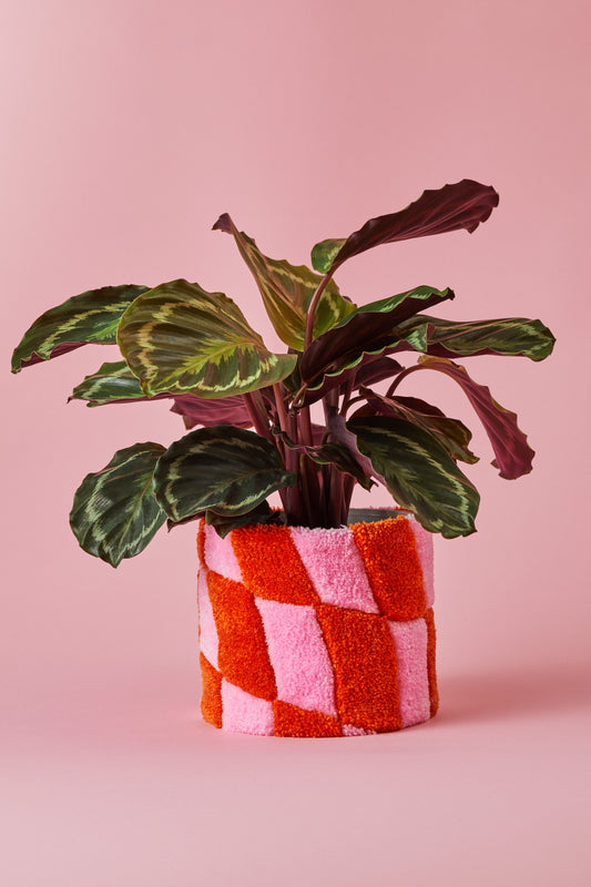 Teppich-Blumentopf HEDWIG