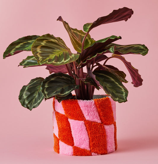 Teppich-Blumentopf ANNI