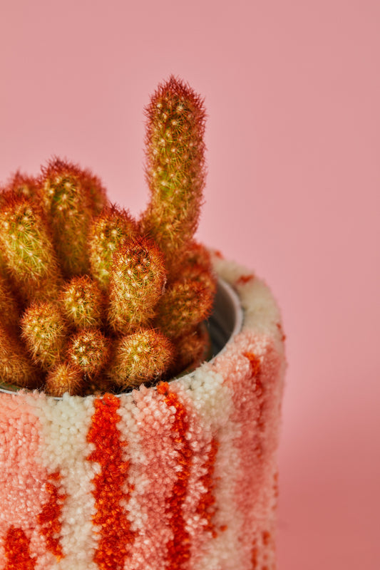 Teppich-Blumentopf LISSY