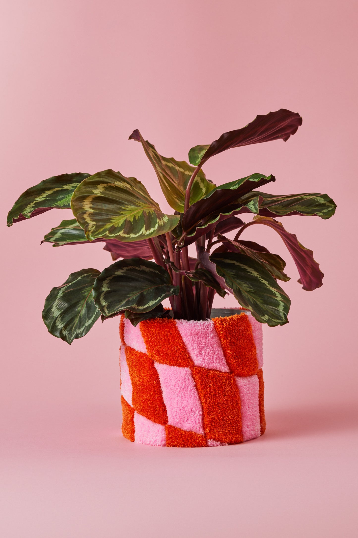 Teppich-Blumentopf HEDWIG