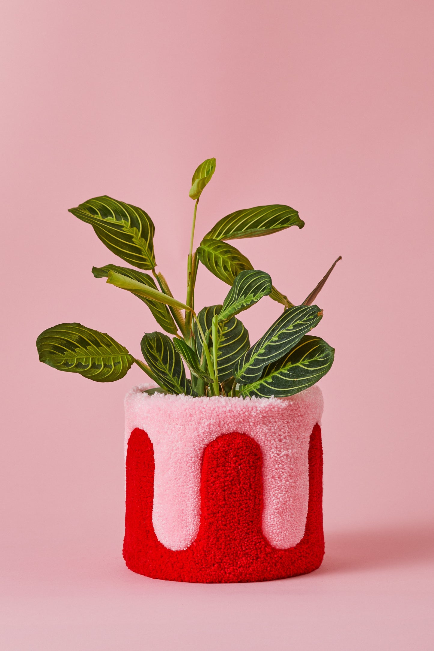 Teppich-Blumentopf ANNI