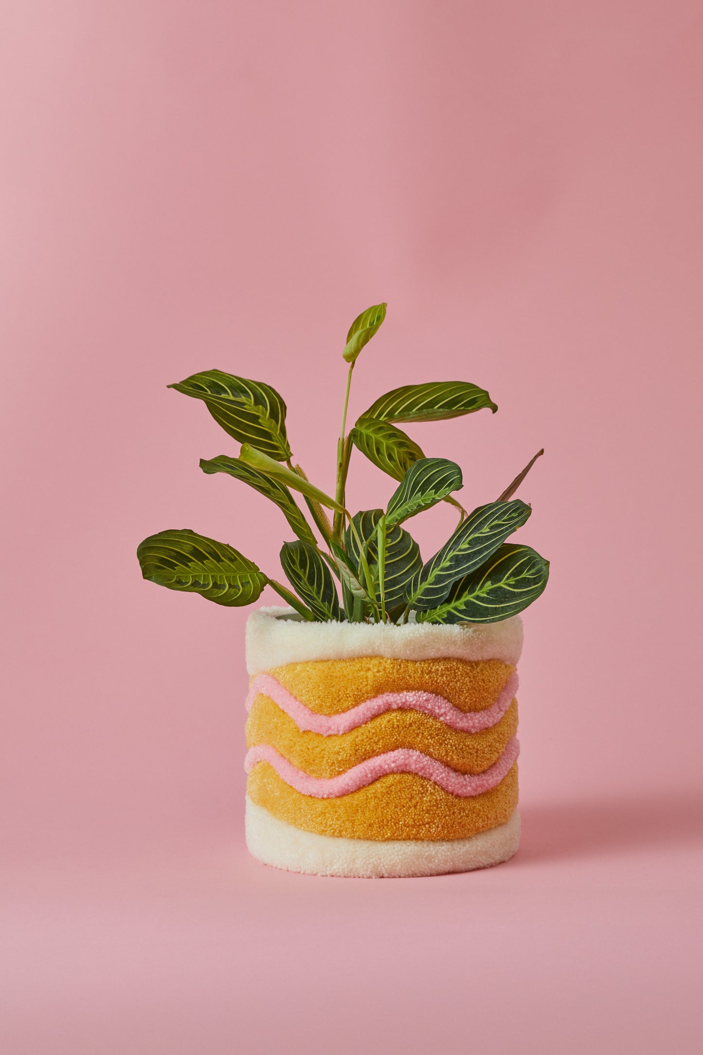 Teppich-Blumentopf RENATE