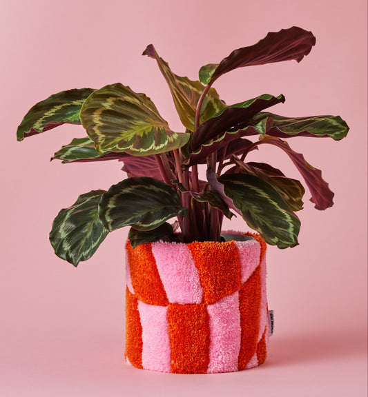 Teppich-Blumentopf ANNI