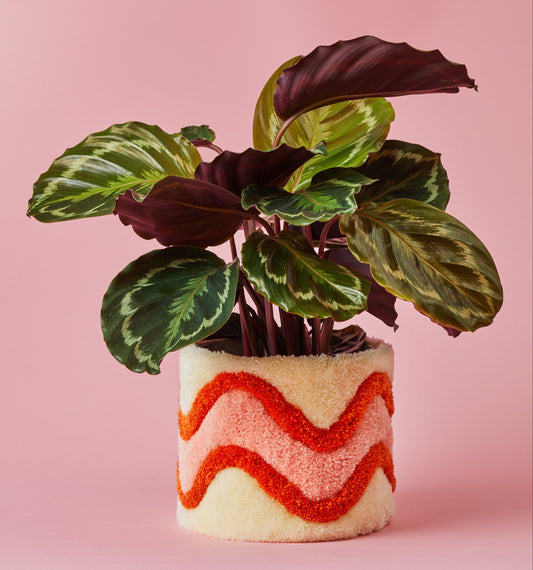 Teppich-Blumentopf HEDWIG